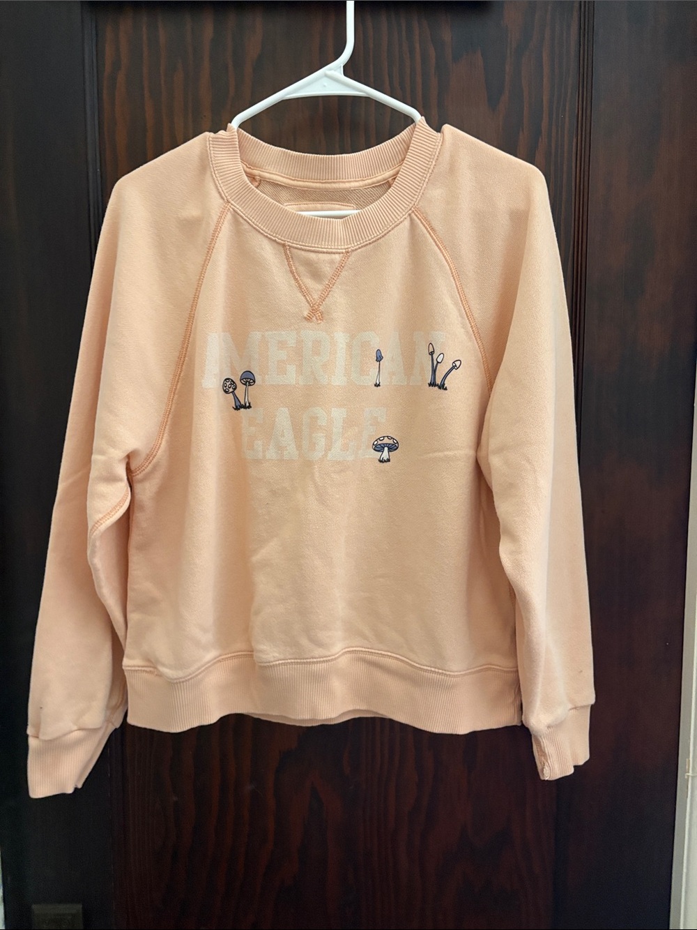 American Eagle Outfitters Peach Logo Crewneck Sweatshirt